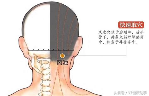 感冒頭痛位置